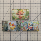 Pack Starter Kalos