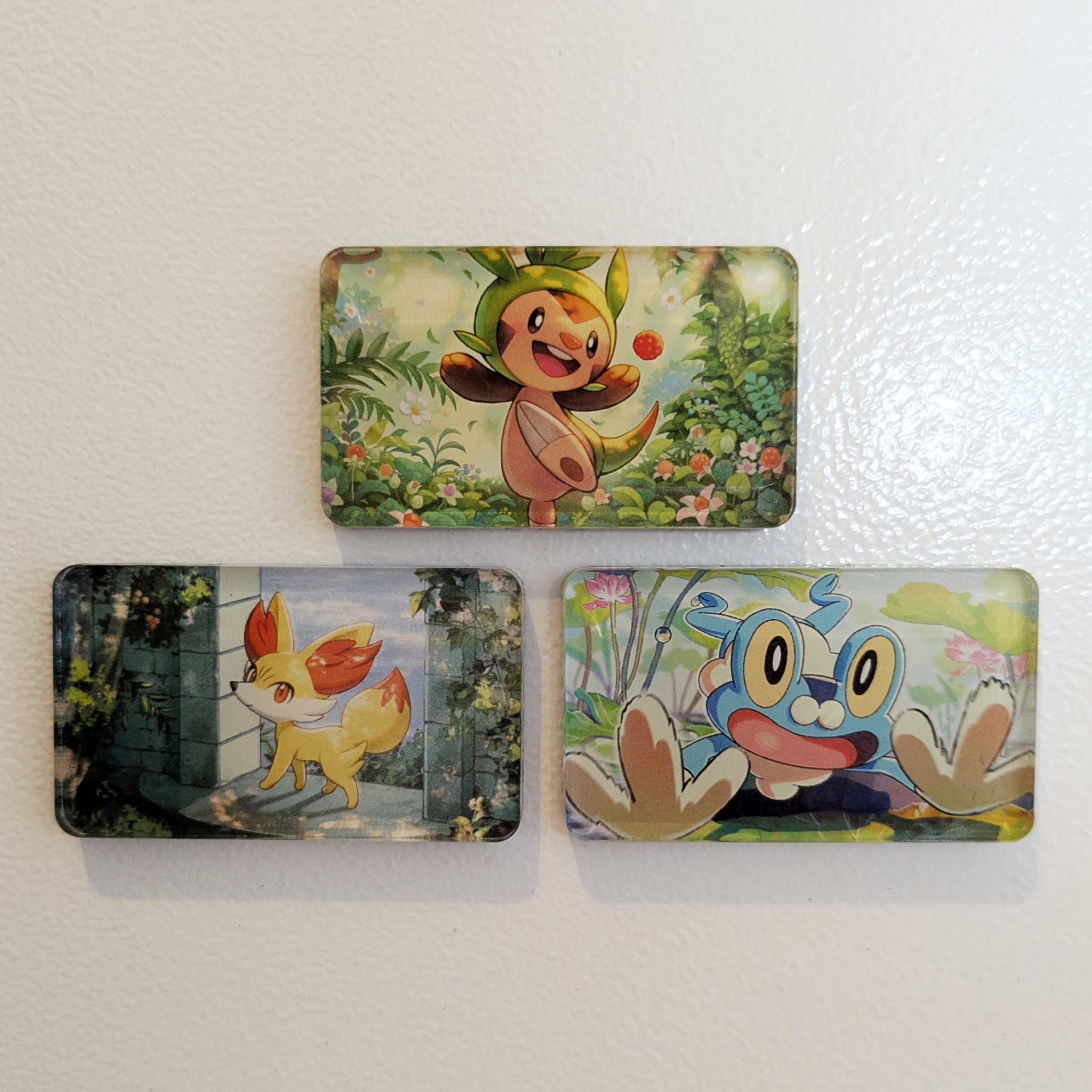 Pack Starter Kalos