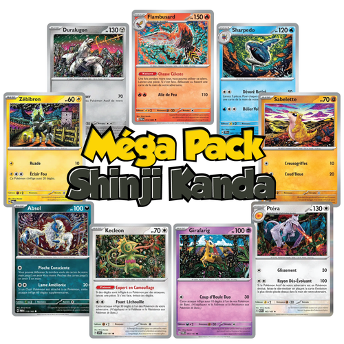 Méga Pack Shinji Kanda